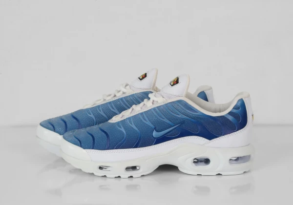 NİKE AİR MAX PLUS TN